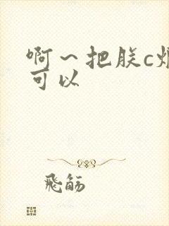 啊～把朕c烂都可以封面