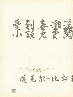 爱到春潮滚滚来小说免费阅读