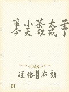 宁小茶太子殿下今天破戒了吗免费阅读
