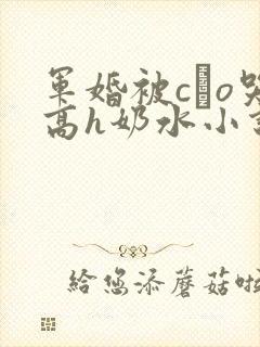 军婚被cαo哭高h奶水小说