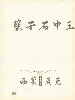 孽子石中玉
