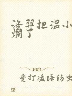 洛羿把温小辉做烂了