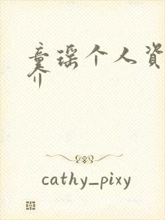 童瑶个人资料简介