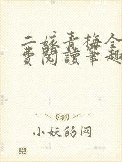 二嫁青梅全文免费阅读笔趣阁