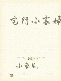 宅门小寡妇