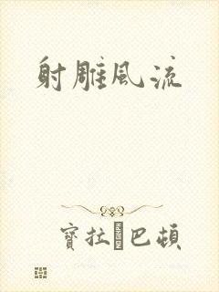 射雕风流