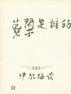 范闲是谁的亲生儿子封面