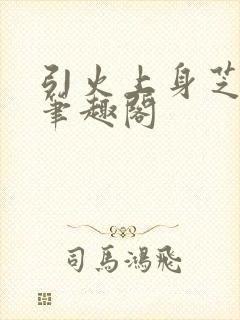 引火上身芝麻糖笔趣阁