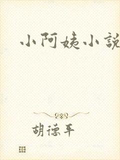 小阿姨小说