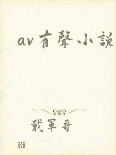 av有声小说
