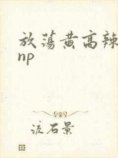 放荡黄高辣h文np封面