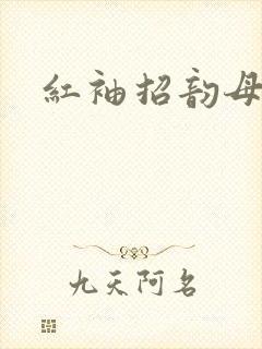 红袖招韵母攻略