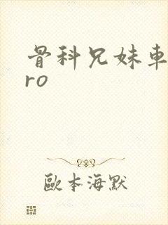 骨科兄妹车多pro