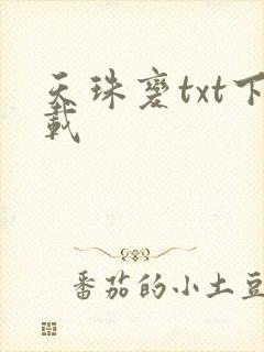 天珠变txt下载封面