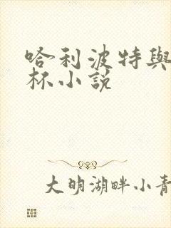 哈利波特与火焰杯小说