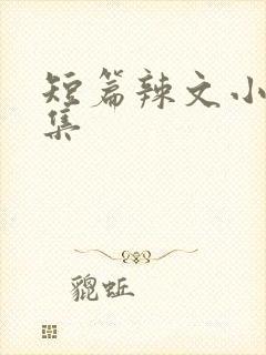 短篇辣文小说合集