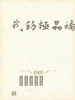 我的极品娇妻