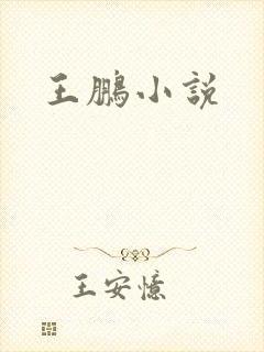 王鹏小说