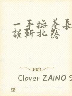 一手抚养长大小说靳北然封面