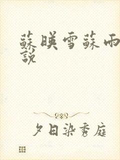 苏映雪苏雨柔小说