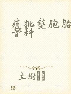 疯批双胞胎兄弟骨科封面