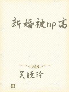 新婚被np高h封面