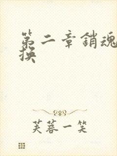 第二章销魂的交换