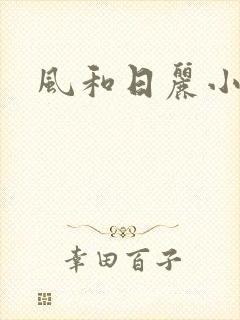 风和日丽小说