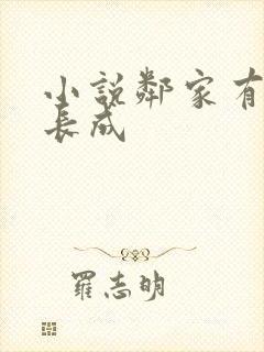 小说邻家有女初长成封面