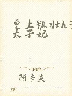 皇上粗壮h灌满太子妃封面