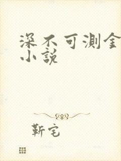 深不可测金银花小说