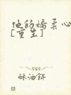 他的娇柔心尖宠[重生]