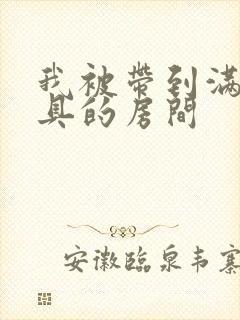 我被带到满是玩具的房间