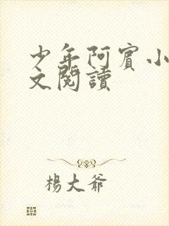 少年阿宾小说全文阅读封面