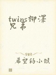 twins柳泽兄弟