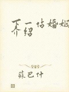 下一站婚姻剧情介绍封面