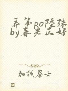 弄筝po陆殊词by春光正好封面