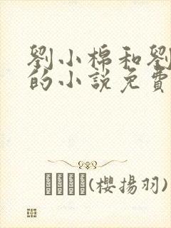 刘小棉和刘易文的小说免费阅读封面