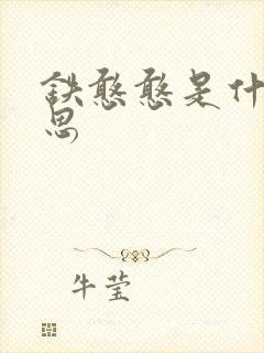 铁憨憨是什么意思封面