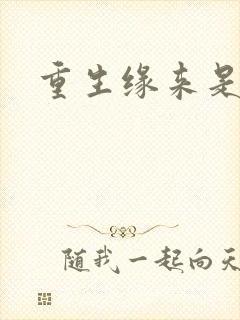 重生缘来是你封面