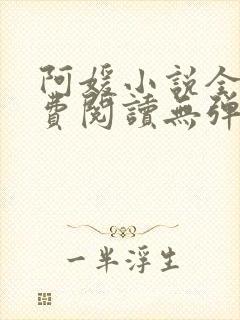 阿媛小说全文免费阅读无弹窗笔趣阁封面