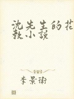 沈先生的花式调教小说