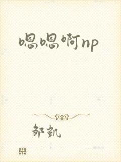 嗯嗯啊np封面