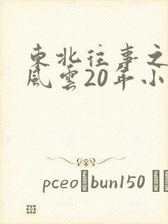 东北往事之黑道风云20年小说