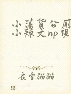 小荡货公厕h文小辣文np视频