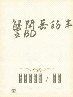 解开岳的丰满奶罩BD