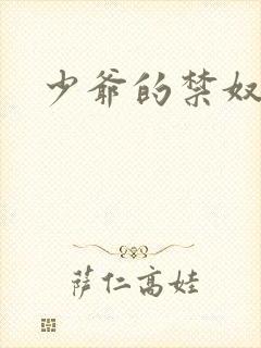 少爷的禁奴封面