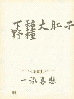 下种大肚子怀孕野种