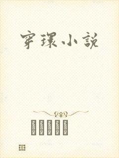 穿环小说