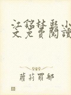 江铭林熙小说全文免费阅读